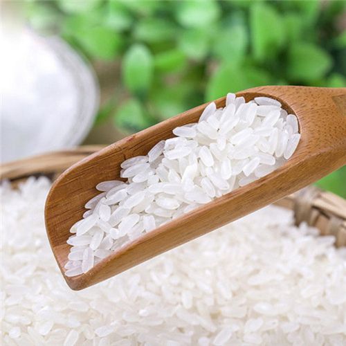 大米批发 无添加水稻大米 农家自产优质大米 散装大米
